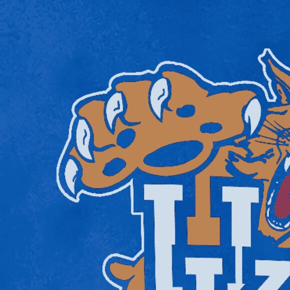 90s University Of Kentucky Wildcats shirt 90s vintage tee - Picture 2 of 3